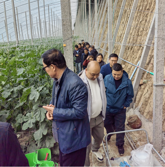 賦能農(nóng)業(yè)合作社，護(hù)航舌尖安全——贊華集團(tuán)助力許昌建安區(qū)農(nóng)產(chǎn)品質(zhì)量提升培訓(xùn)項(xiàng)目圓滿結(jié)班